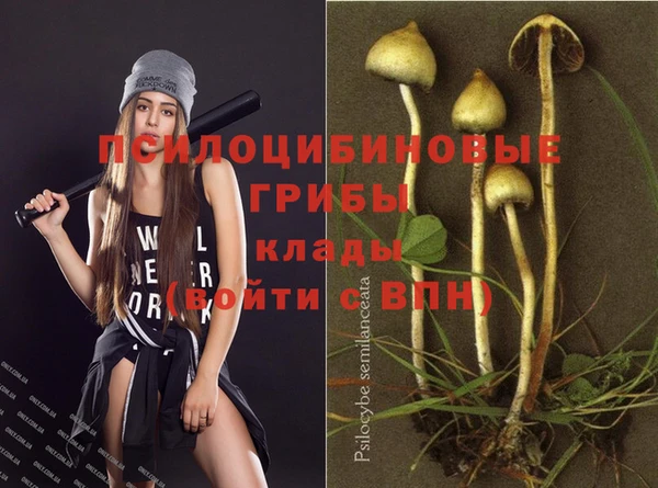 сатива Алзамай
