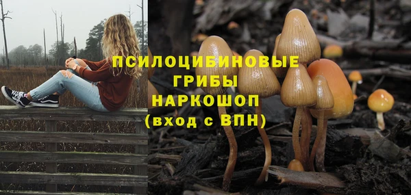 каннабис Алексеевка