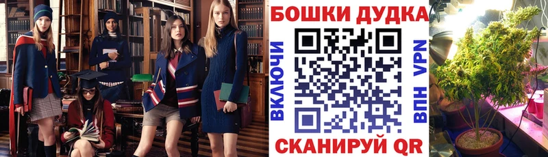 Бошки Шишки планчик  Каменск-Уральский 